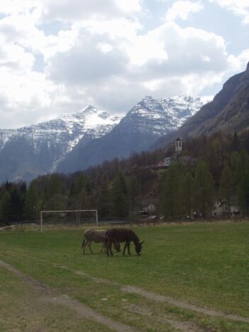 Tessin, April 2003