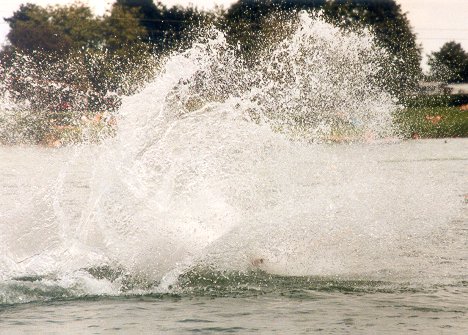 (fotografiert von: Helgard)