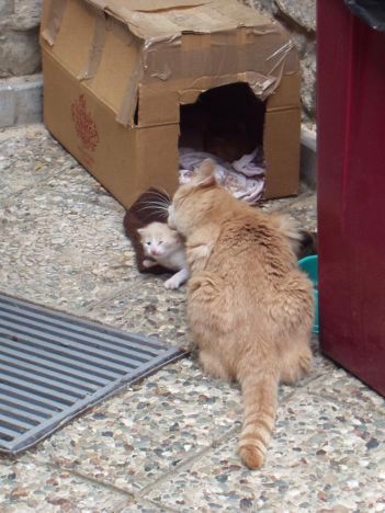 Zypern, April 2005 Zypern, April 2005